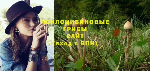 молекула духа Магадан