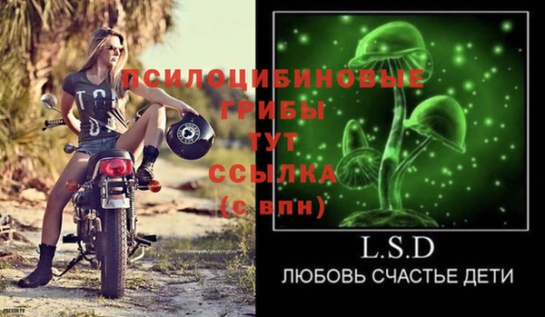 гашик Майский