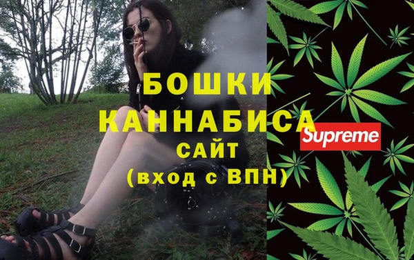 молекула духа Магадан
